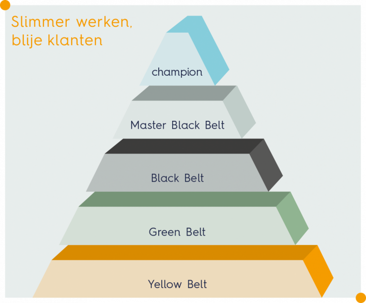 Welke niveaus worden er onderscheiden binnen Lean Six Sigma?