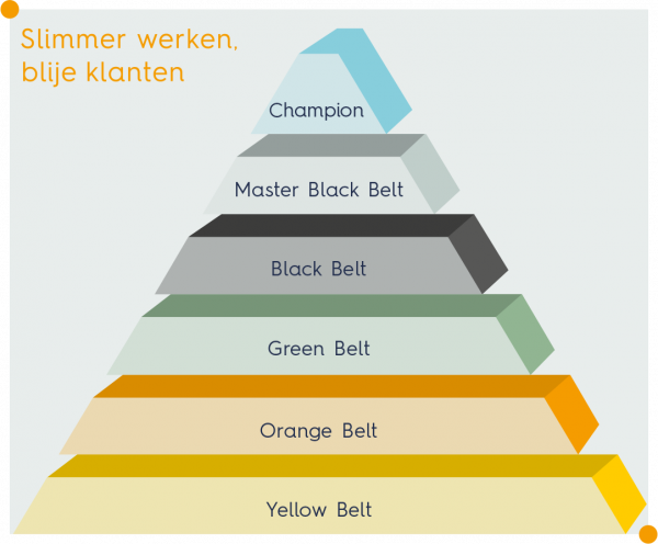 lean six sigma cursus